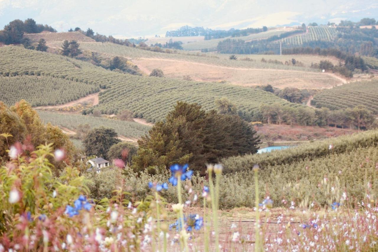 Cheverells Farm Grabouw Kültér fotó