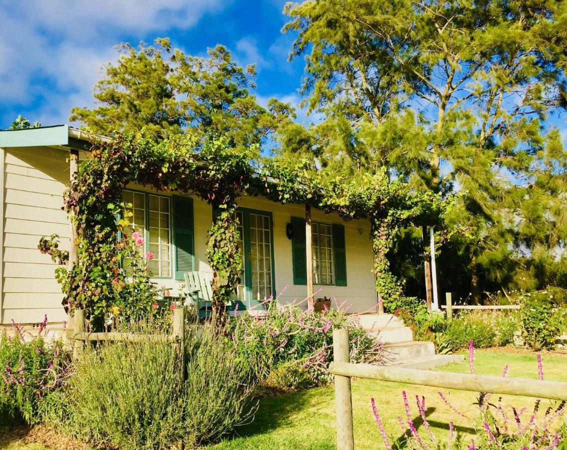 Cheverells Farm Grabouw Kültér fotó