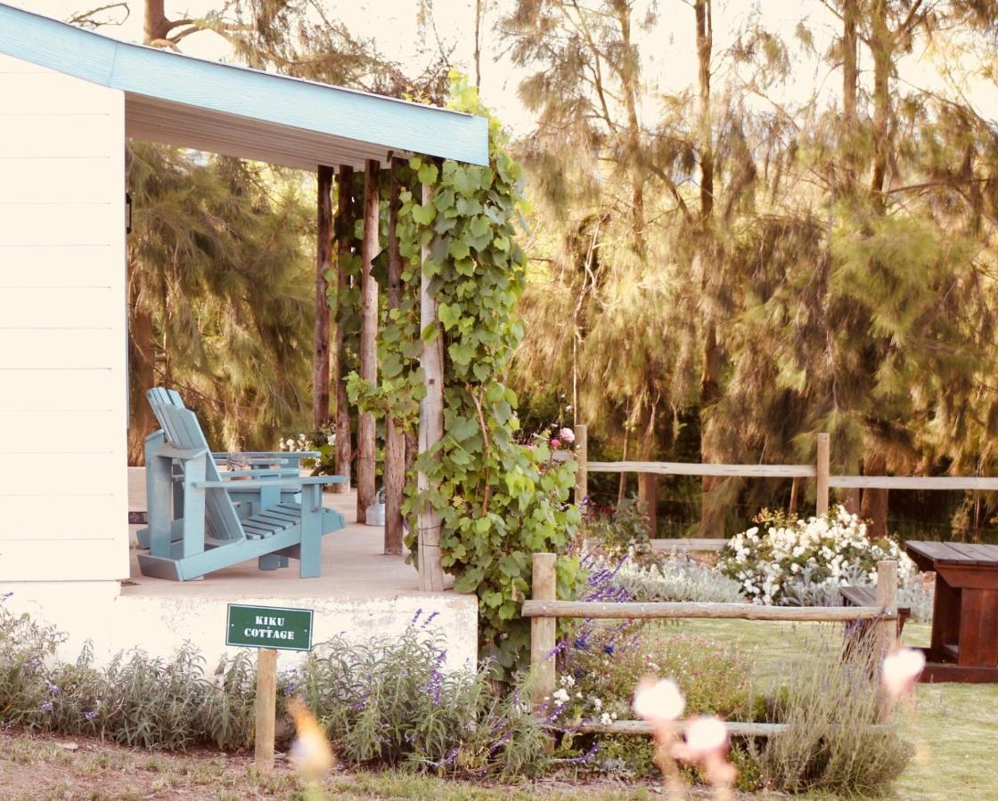 Cheverells Farm Grabouw Kültér fotó