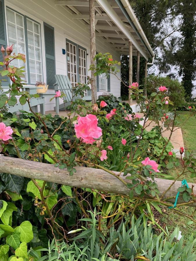 Cheverells Farm Grabouw Kültér fotó