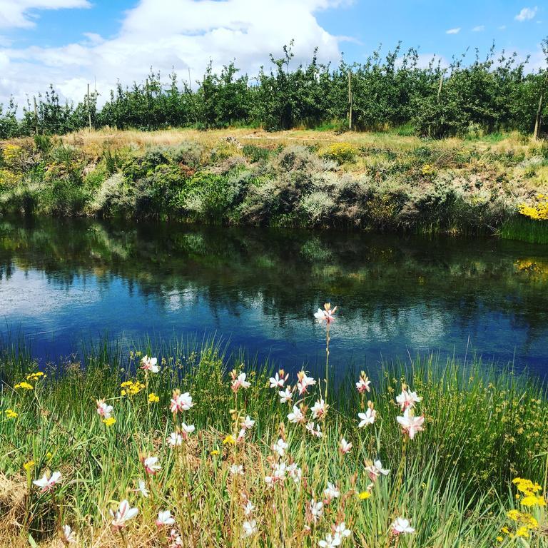 Cheverells Farm Grabouw Kültér fotó