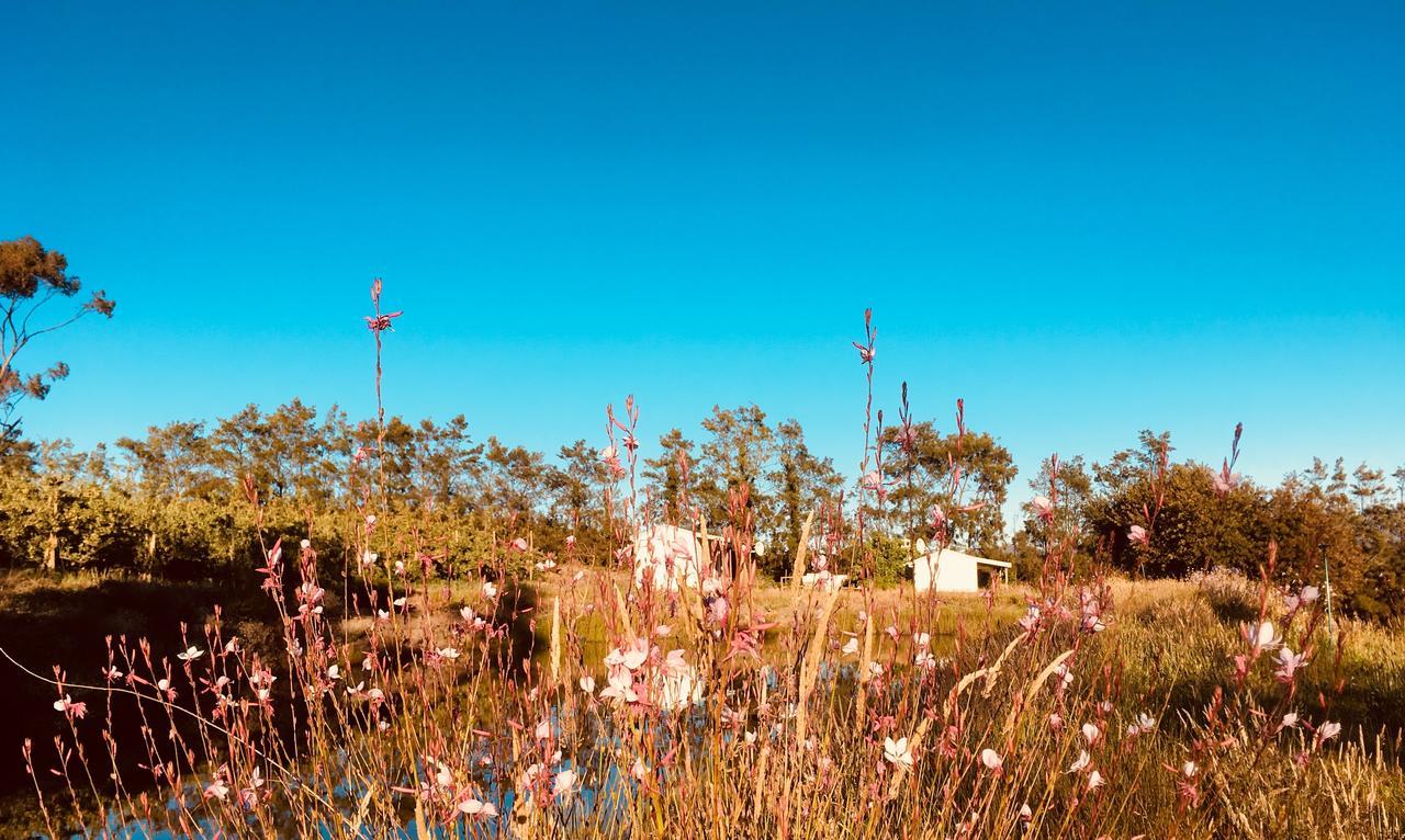 Cheverells Farm Grabouw Kültér fotó