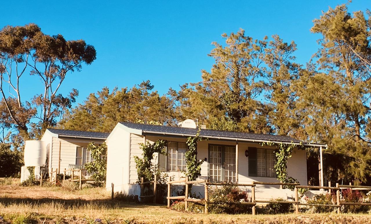 Cheverells Farm Grabouw Kültér fotó